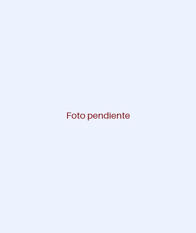 Foto pendiente de HOLA FESTA