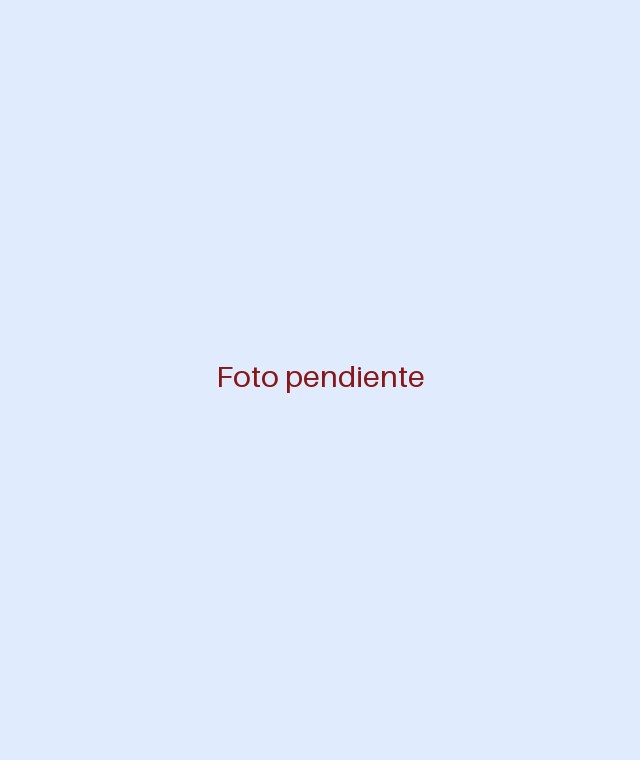 Foto pendiente de HOLA FESTA